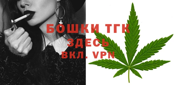 ешки Арсеньев