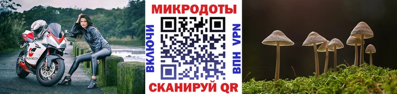 Галлюциногенные грибы MAGIC MUSHROOMS  Купить закладки  Емва 